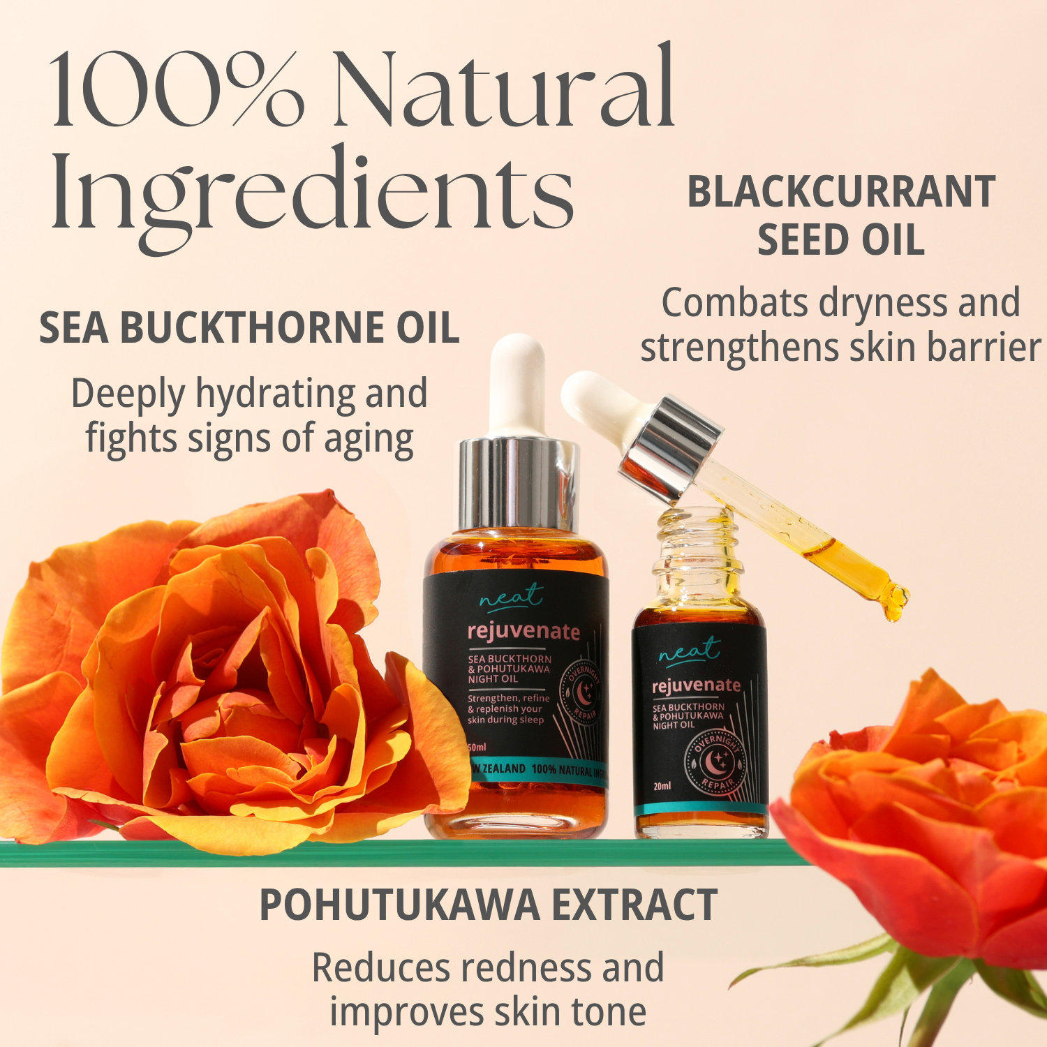 Night Owl: Pore Refining Night Oil - 100% Natural