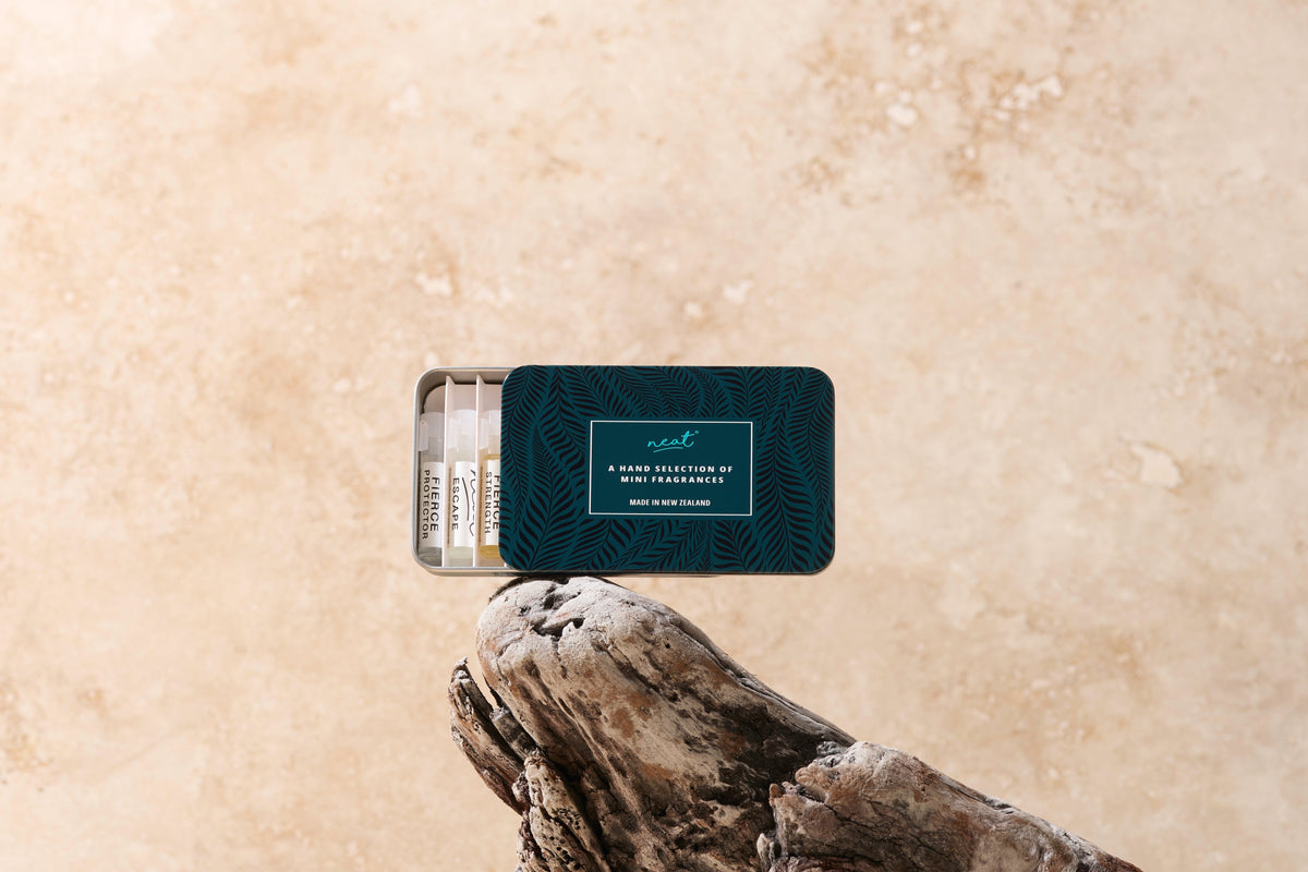 Men's Fragrance Discovery Set: 10 Dupes, One Tin