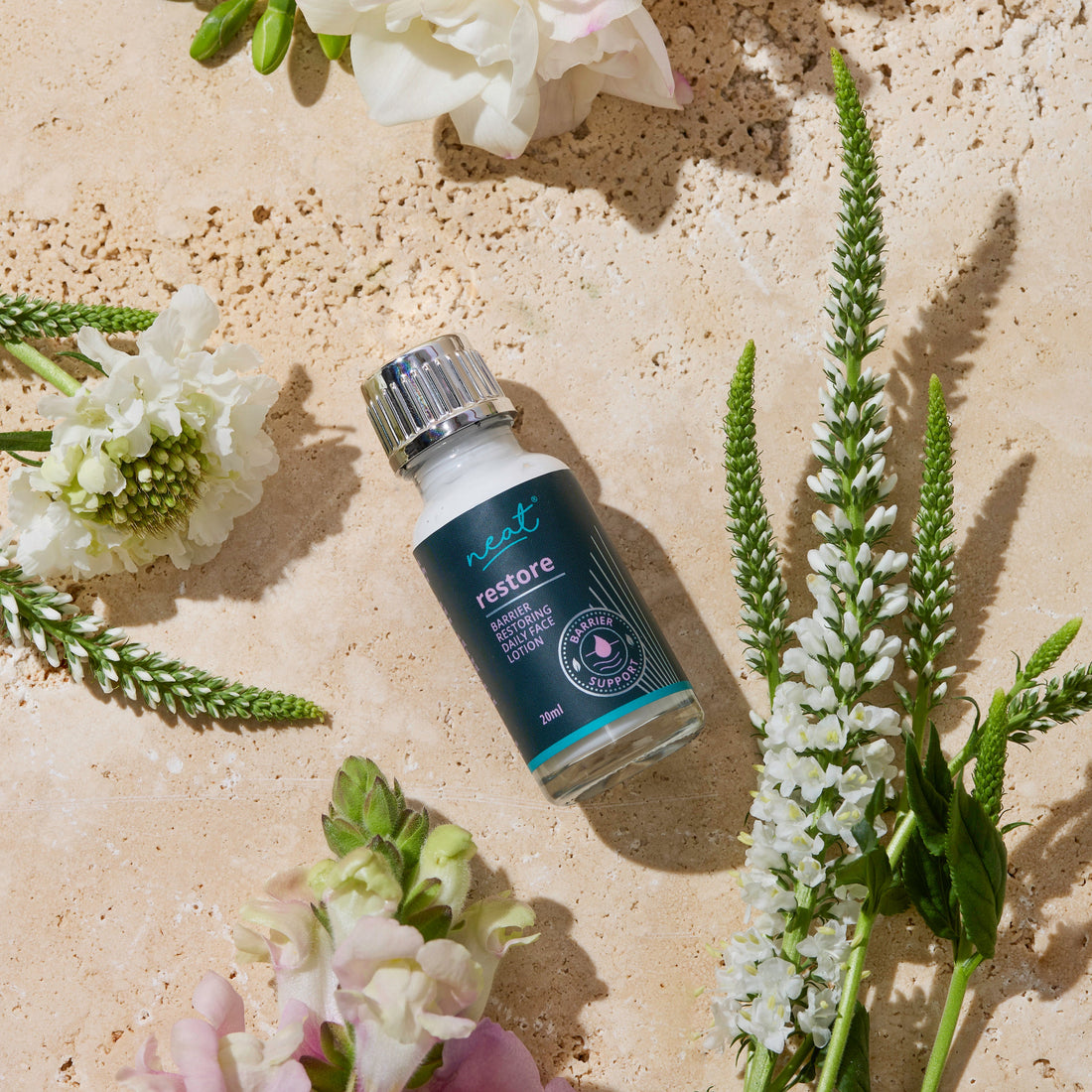 Restore: Daily Face Lotion